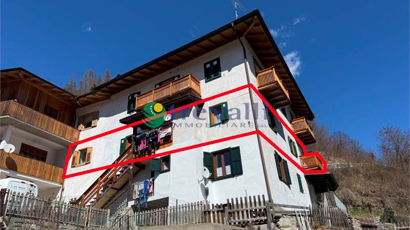 Ampio e luminoso appartamento 